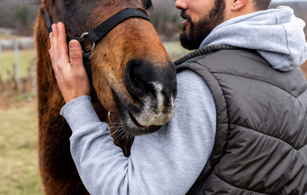 Is Ketamine A Horse Tranquilizer?