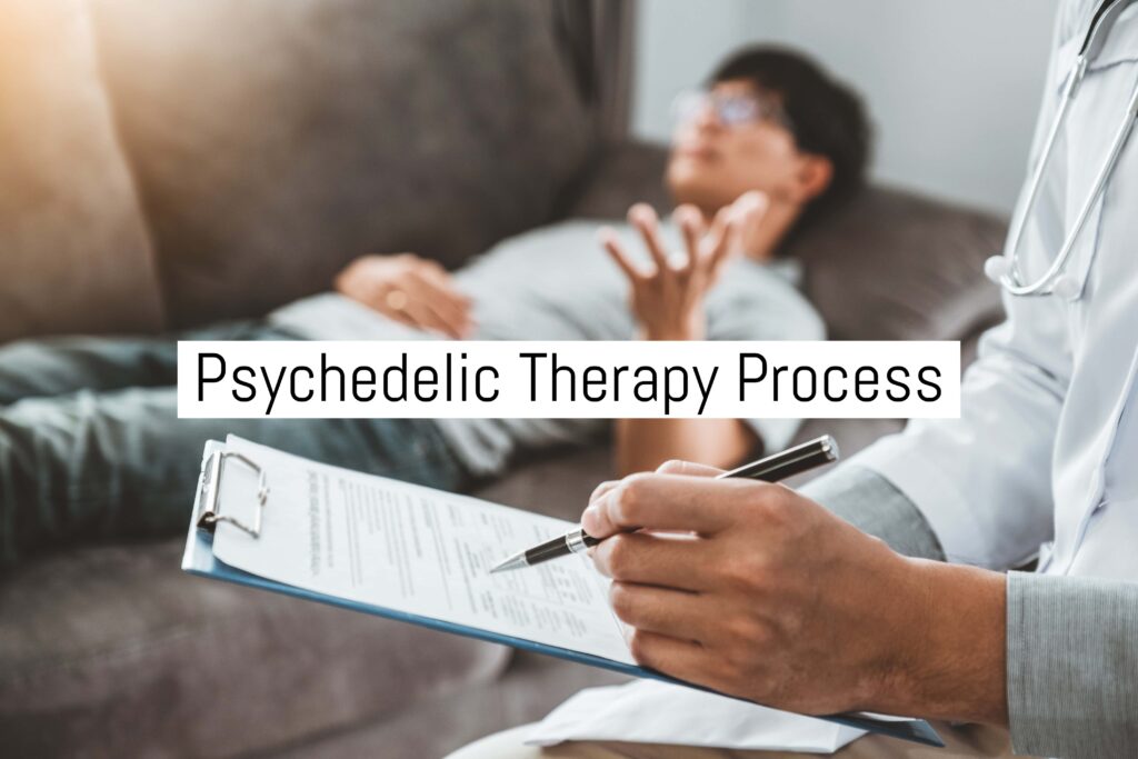 Psychedelic Therapy Process